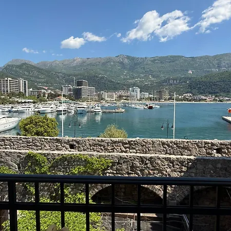 Aleksic Old Town Apartment Budva