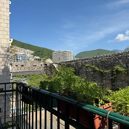 Apartment Aleksic Old Town *