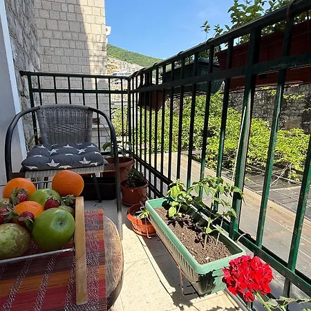 Aleksic Old Town Apartment