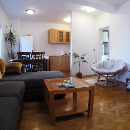 Aleksic Old Town Appartement *