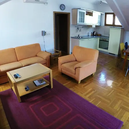 Aleksic Old Town Apartment