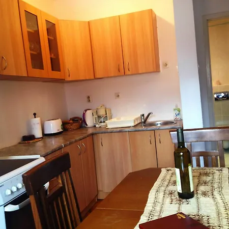 Aleksic Old Town Apartment *