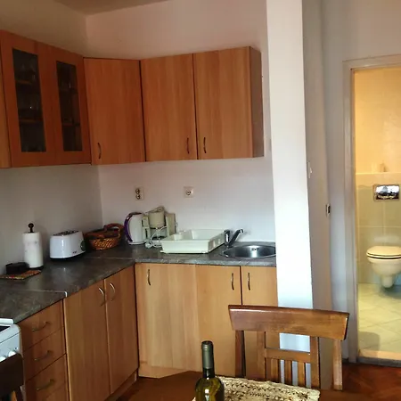 Aleksic Old Town Apartment *